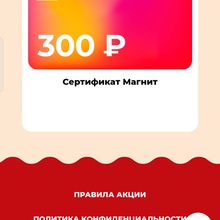 сертификат магнит от Tess