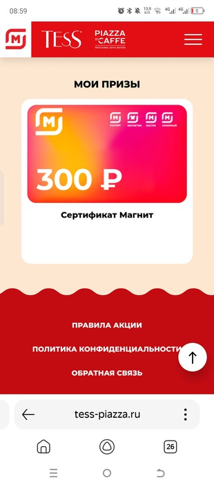 Приз акции Tess «Исполняйте мечту c Tess и Piazza Del Caffe»