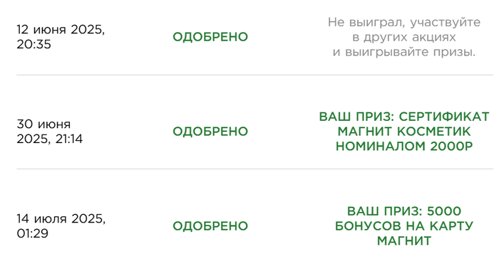 Приз акции Garnier «Фестиваль Garnier Ambre Solaire в сети Магнит»