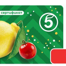 Сертификат 500р Пятёрочка от Проект "Другое дело"