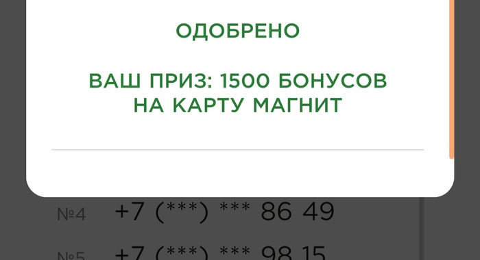 Приз акции Garnier «Фестиваль Garnier Ambre Solaire в сети Магнит»