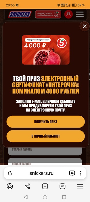 Приз акции Snickers «Забегался? Сникерсни в «Пятерочке»!»