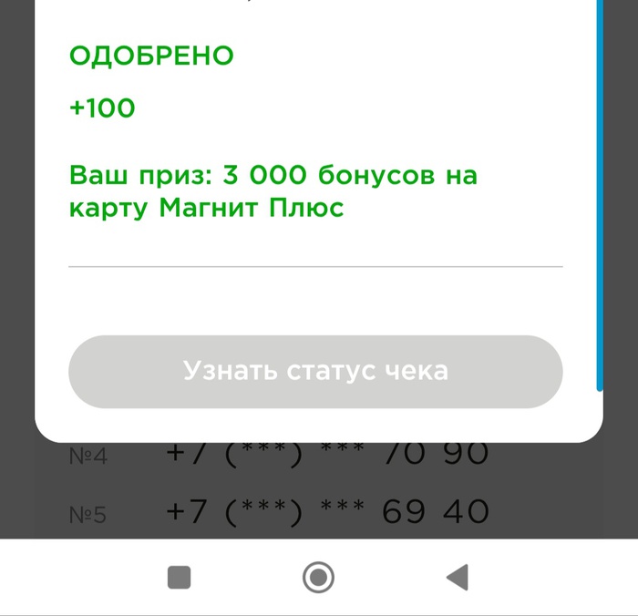 Приз акции Garnier «Фестиваль Garnier в сети Магнит»