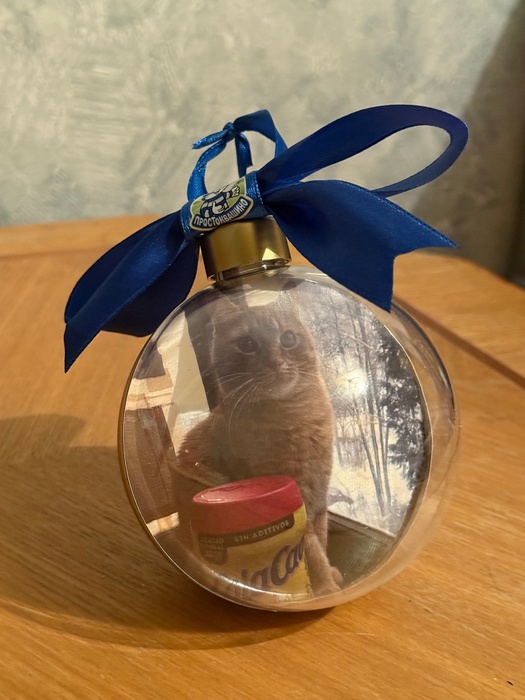 Приз акции Простоквашино «Новогодний розыгрыш от Простоквашино»