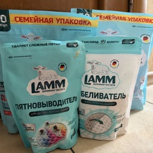 Годовой запас средств от LAMM