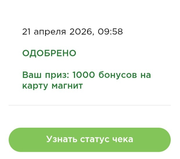 Приз акции Fructis «Фестиваль Fructis в сети Магнит»