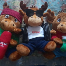 Лоси от Добрый