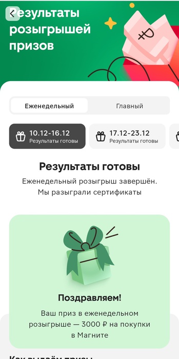 Приз акции Персил «Новый Год под знаком красоты и чистоты!»