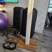 Подарочный сертификат в тедди рум,вместо эльдорадо😆. от Purina One