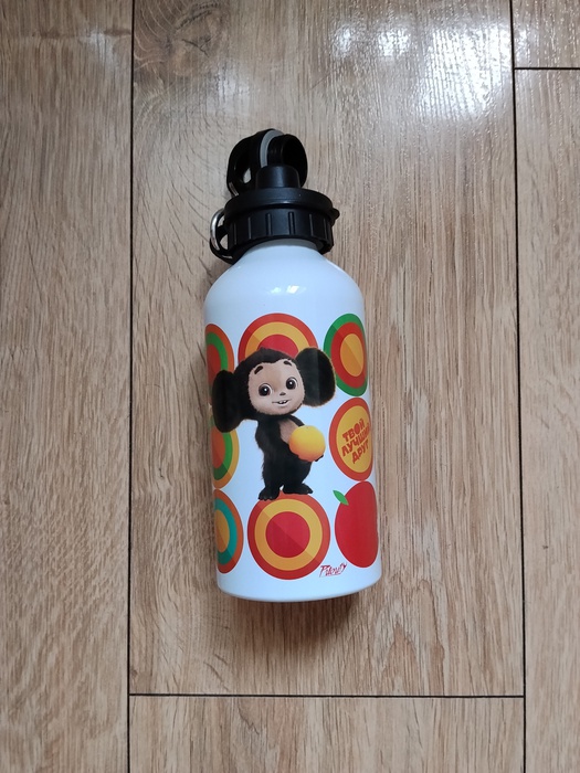 Приз акции Пятерочка «Подарок нужен каждому»