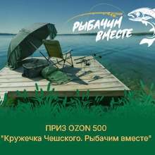 Сертификат Ozon, номинал 500 от Кружечка чешского