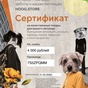 Приз Сертификат от hoog 4000