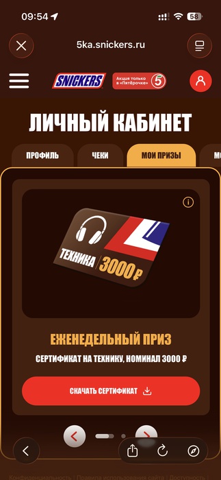 Приз акции Snickers «Сникерсни и покажи себя на работе и учебе»