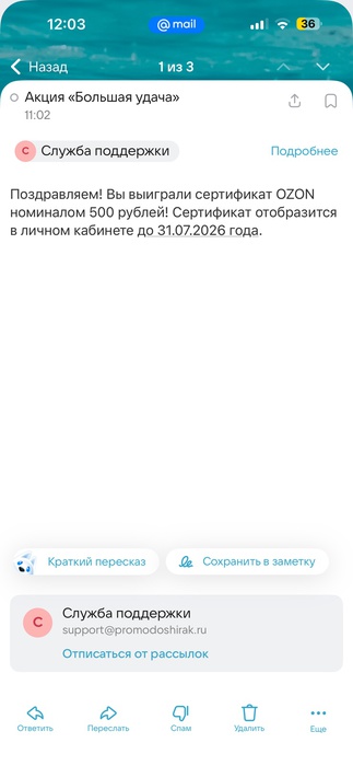 Приз акции Доширак «Большая удача!»