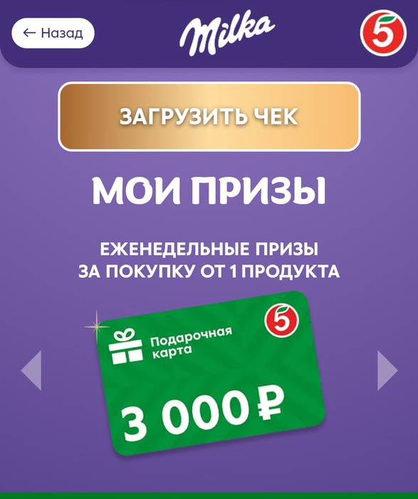 Приз акции Milka «Нежность объединяет – 3 650 000 рублей на праздники целый год»