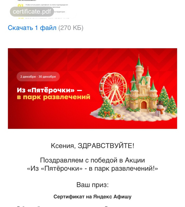 Приз акции Пятерочка «Из «Пятёрочки» - в парк развлечений»