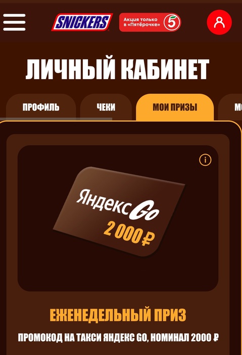 Приз акции Snickers «Сникерсни и покажи себя на работе и учебе»