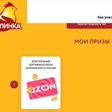 Электронный сертификат OZON номиналом 25 рублей от Акция Петелинка: «25 лет – 25 000 призов»