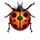 :beetle: