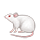 :mouse2: